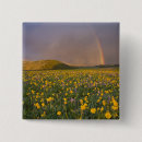 Recherche de orages badges Pluie
