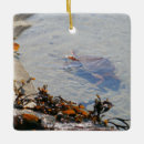 Recherche de sand ornements Paysage