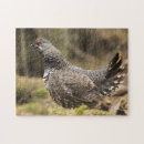Recherche de grouse Nature