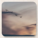 Recherche de oiseau rose dessous de verres Photographie