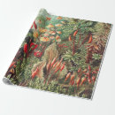 Recherche de haeckel papier cadeau Kunstformen der natur