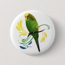 Recherche de perroquet vert badges Oiseau