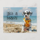 Recherche de marionnettes cartes postales Dog
