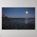 Zoek naar witte maan posters Beach