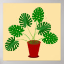Zoek naar zwitserse kaas posters Monstera