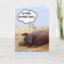 Zoek naar leuke boerderijdieren kaarten Grappig