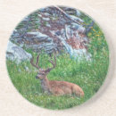 Recherche de buck dessous de verres Cerf