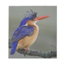 Recherche de lac martin Oiseau