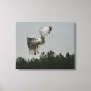 Recherche de copie animale photographie Toute personne