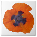 Zoek naar poppy tegels Oranje