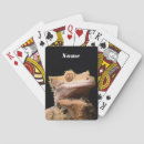 Recherche de caméléon jeux de cartes Nature