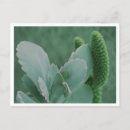 Recherche de désert photographie Jardin
