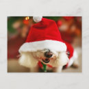 Recherche de bichon frise christmas vœux cartes Chiot