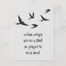 Recherche de ailes cartes postales Inspiration