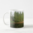 Recherche de sapin tasses À feuillage persistant