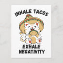 Recherche de chat mexicain cartes postales Sombrero