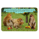 Recherche de la jordanie magnets Chrétien