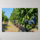 Recherche de fruit de la vigne posters Pour tous