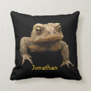 Recherche de grenouilles drôles coussins Animaux