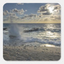 Recherche de caïman autocollants Amérique du nord