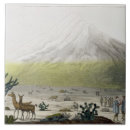 Recherche de costumes carreaux Central