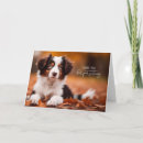 Recherche de chiot berger vœux cartes Animaux de compagnie