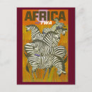 Zoek naar afrikaans briefkaarten Zebra