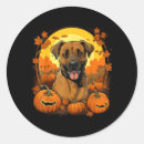 Zoek naar halloween pompoen stickers Spookhuis