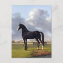 Recherche de cheval noir cartes postales Rustique