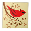 Recherche de oiseau tourbillonnant Faune