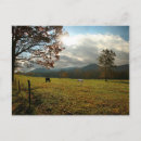 Recherche de tennessee cartes postales Tomber