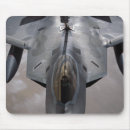 Recherche de rapace tapis souris Vol