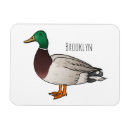 Recherche de le canard magnets Oiseau
