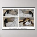 Zoek naar het verschepen posters Grappig