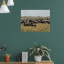 Recherche de gnou posters Migration
