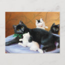 Recherche de famille vintage cartes postales Animal
