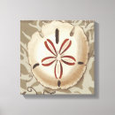 Recherche de côtier impressions sur toile Coquillages