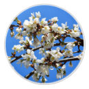 Recherche de fleurs blanches boutons et poignées de porte Élégant