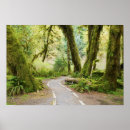 Recherche de forêt tropicale posters Randonnée