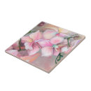 Recherche de orchidée rose carreaux Orchidées