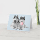 Recherche de sibérien vœux cartes Husky