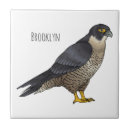 Recherche de rapace carreaux Oiseau