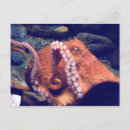 Recherche de animaux de mer cartes postales Créatures marines