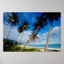 Recherche de santo posters Caraïbes