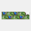 Recherche de papillon bleu voiture autocollants Nature
