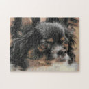 Zoek naar hond chihuahua puzzels Vriend