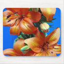 Recherche de mensonge tapis souris Nature