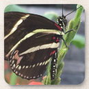 Recherche de aile dessous de verres Papillon