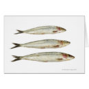 Recherche de sardines cartes postales Animal