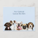 Recherche de chenil cartes postales Chien